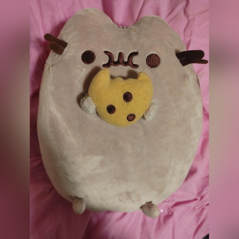 Pusheen Plush eating a cookie